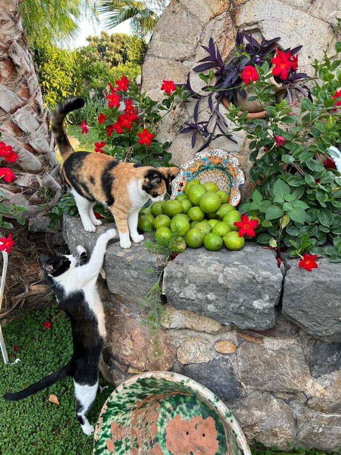 La Capanna Di Giuseppe E Maria Bed & Breakfast Таормина Екстериор снимка