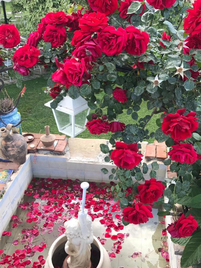 La Capanna Di Giuseppe E Maria Bed & Breakfast Таормина Екстериор снимка